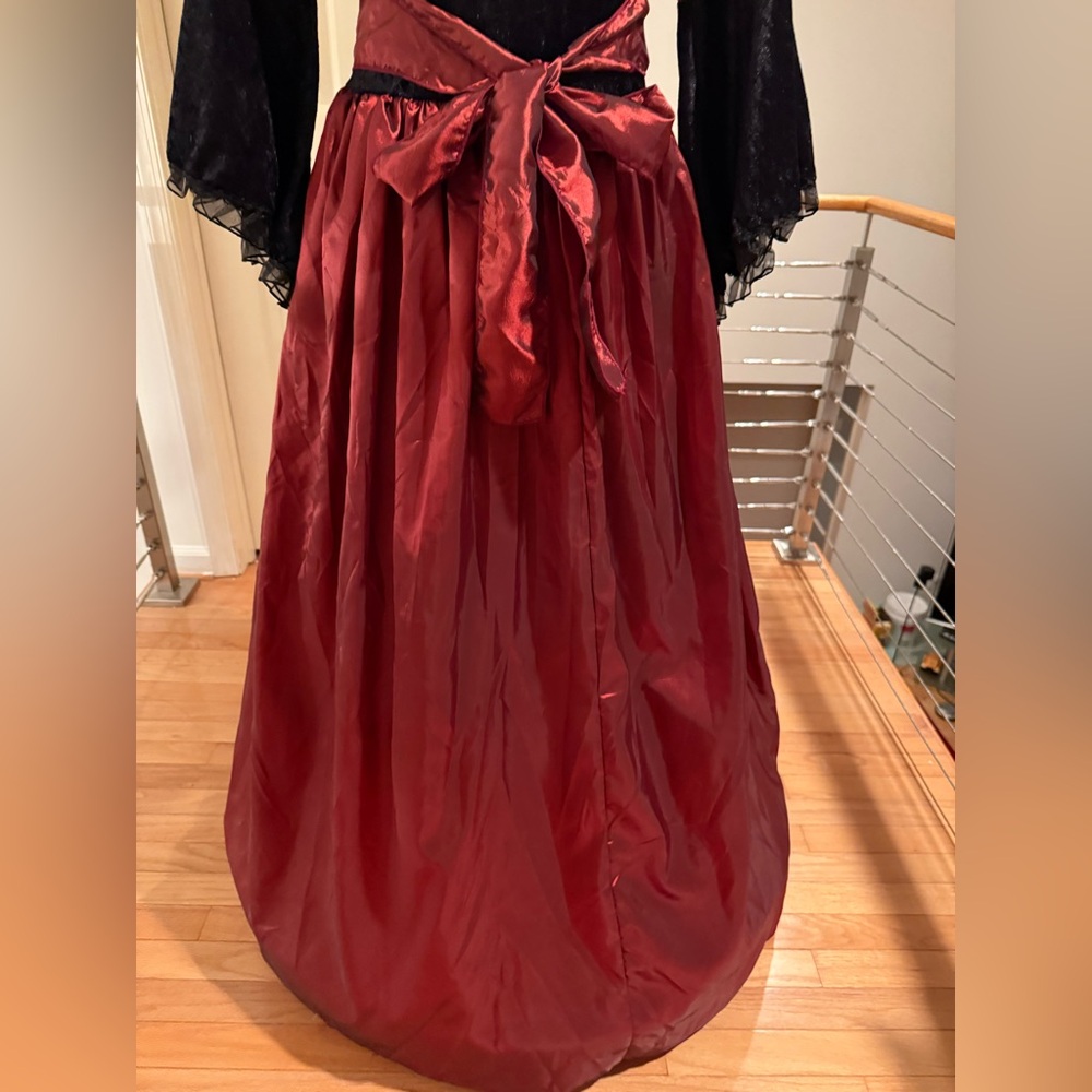 Vampire Queen M Halloween Dress Costume Black and Red Gown - Picture 9 of 13